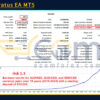 Triumviratus EA MT5 Backtests Result