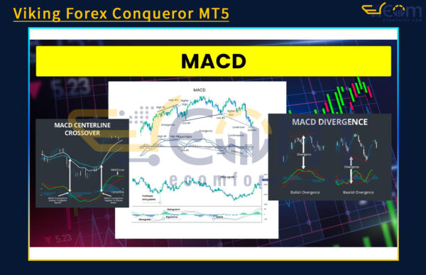 Viking Forex Conqueror MT5 Review