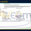 VnDragon EA MT4 Backtest