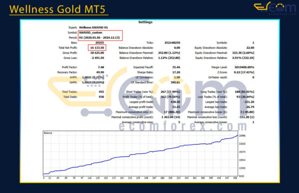 Wellness Gold MT5 Backtest