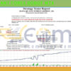 ALFA QUANT FOREX ROBOT MT4 Backtest