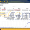 Analitic RSI MT5 Backtest