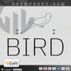 Bird Onix Exp MT5 Logo