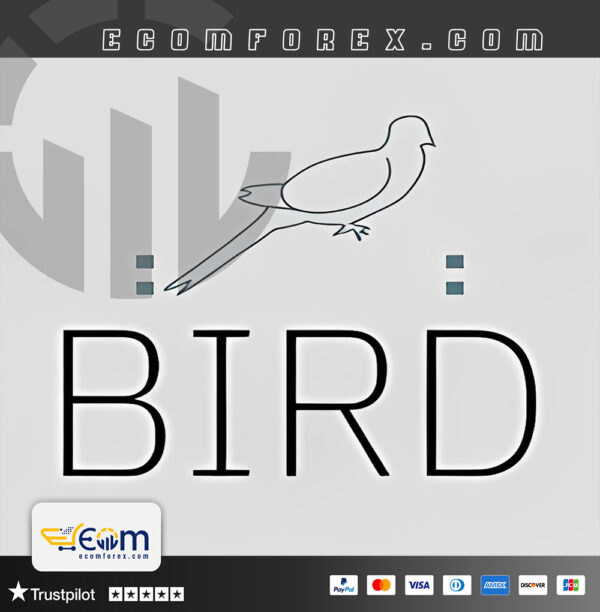 Bird Onix Exp MT5 Logo