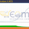 Bitcoin Scalper X MT5 Backtest