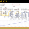 Black Jack MT5 Backtests