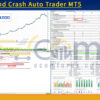 Boom and Crash Auto Trader MT5 Backtests