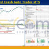 Boom and Crash Auto Trader MT5 Backtests Result