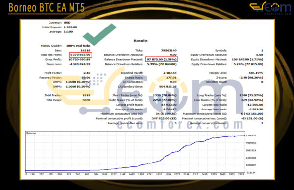 Borneo BTC EA MT5 Backtest