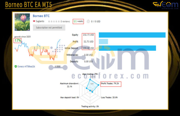 Borneo BTC EA MT5 Live Result