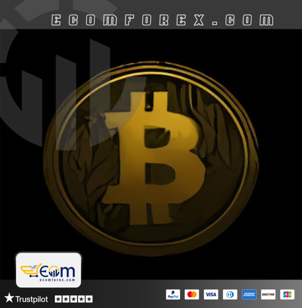 Borneo BTC EA MT5 Logo