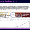 Daily Candle Scalper MT5 Backtests