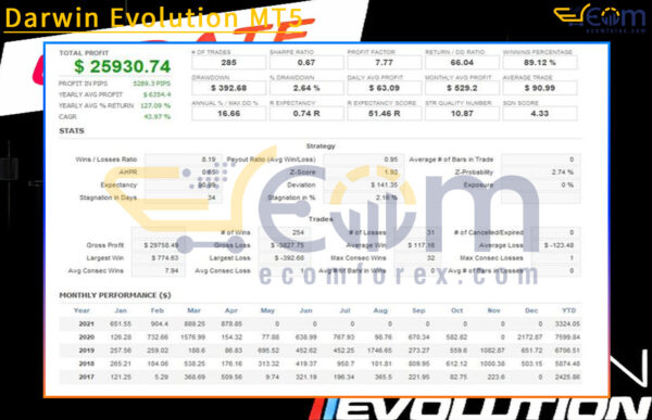 Darwin Evolution MT5 Backtest