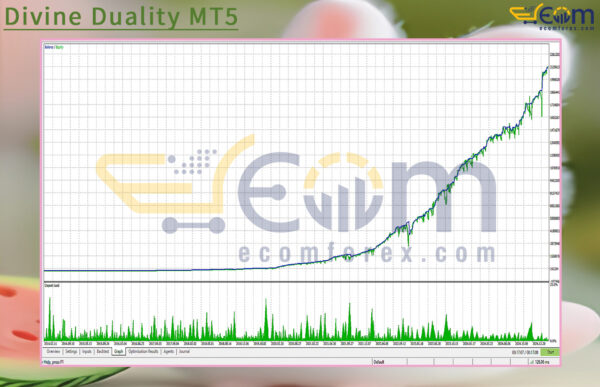 Divine Duality MT5 Backtests