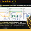 DoIt Gold Guardian MT5 Backtests