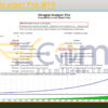 Dragon Scalper Pro MT4 Backtest