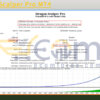 Dragon Scalper Pro MT4 Backtest Result