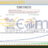 Dragon Scalper Pro MT4 Backtests