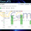 EA New Player MT5 Live Signal MyfxBook