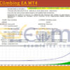 Everest Climbing EA MT4 Backtest