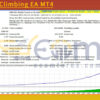 Everest Climbing EA MT4 Backtests