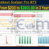 Gold Breakout Scalper Pro MT5 Backtests