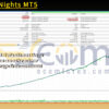 Golden Nights MT5 Backtests