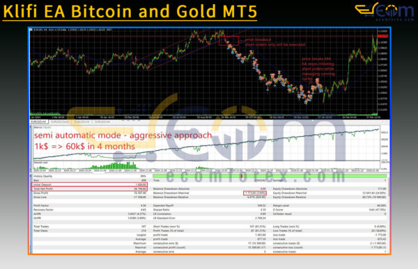 Klifi EA Bitcoin and Gold MT5 Backtest