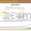 Lizard Scalper Pro EA MT4 Backtest