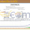 Lizard Scalper Pro EA MT4 Backtest Result