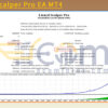 Lizard Scalper Pro EA MT4 Backtests