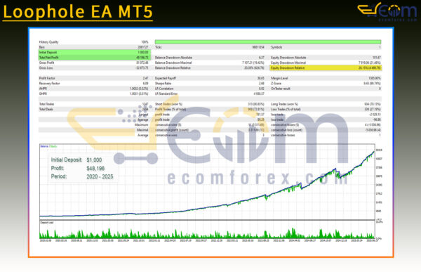 Loophole EA MT5 Backtest