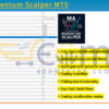 MA Momentum Scalper MT5 Input