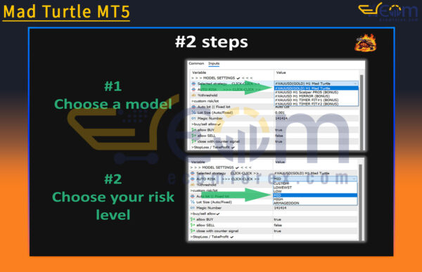 Mad Turtle MT5 Review