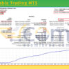 Multi Stable Trading MT5 Backtest