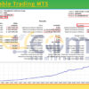 Multi Stable Trading MT5 Backtest Result