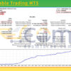 Multi Stable Trading MT5 Backtests Result