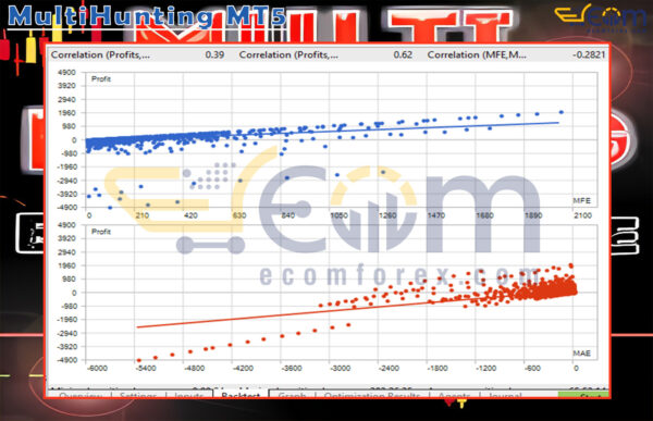 MultiHunting MT5 Backtest