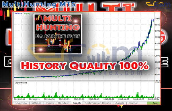 MultiHunting MT5 Backtests