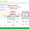 NightVision MT5 Live Signal