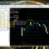 Pip Titan Euro Swinger Pro MT5 Backtest