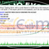 Portfolio Evolution MT5 Backtests