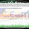 Portfolio Evolution MT5 Backtests Result