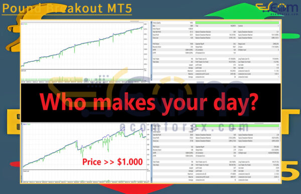 Pound Breakout MT5 Backtests