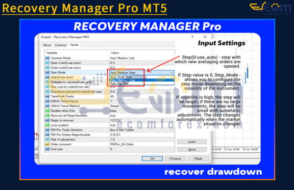 Recovery Manager Pro MT5 Input
