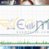 Ride the wind MT5 Backtests
