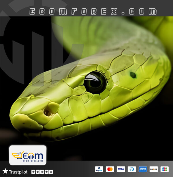 Snake Crazy Pro EA MT4 Logo