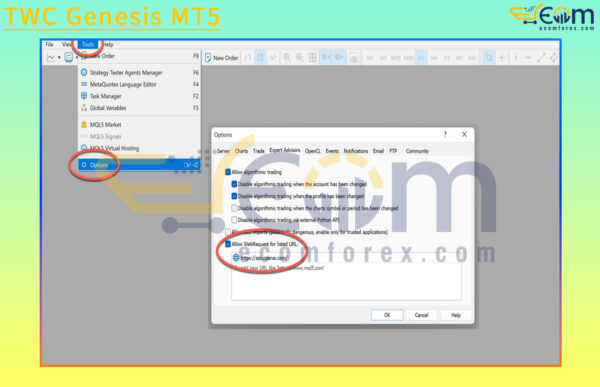 TWC Genesis MT5 Review