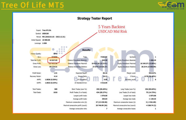 Tree Of Life MT5 Backtest