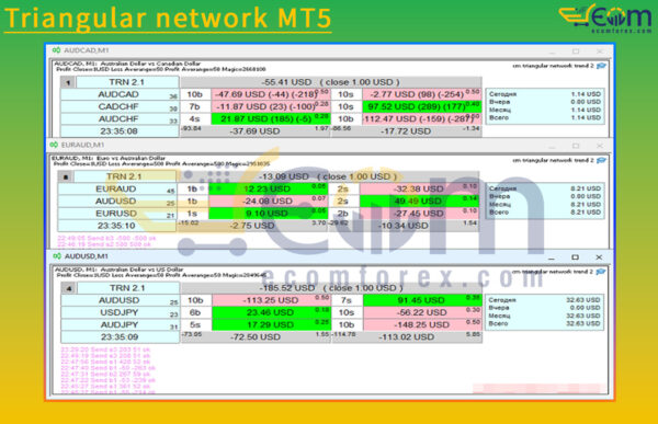 Triangular network MT5 Review